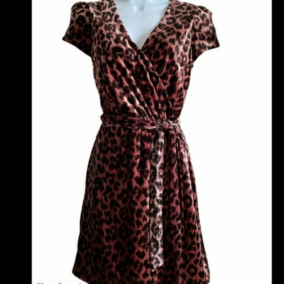 NWOT J.Crew Drapey Velvet Cheatah Dress - Picture 4 of 12